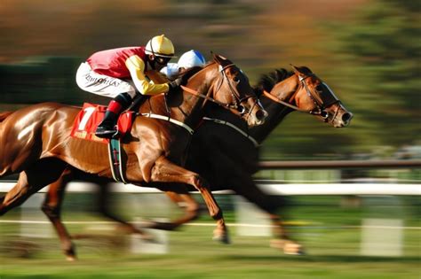 Ivanaturf: A Renowned Site for Turf Lovers .